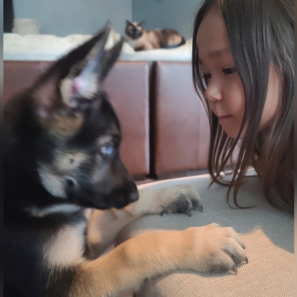 Meet your Posher, Mariko - Picture 3 of 3